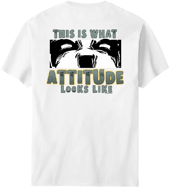 Cozy Lounge Wear This Is What Attitude Looks Like T-Shirt